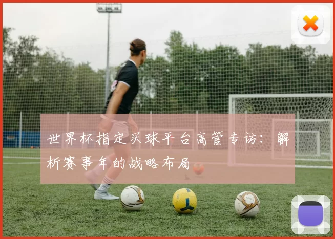 世界杯指定买球平台高管专访：解析赛事年的战略布局