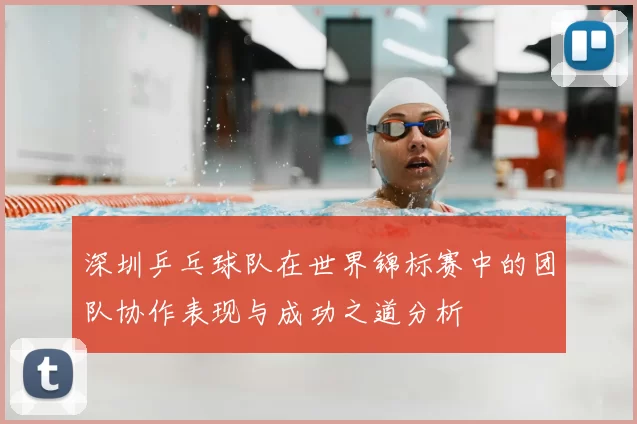 深圳乒乓球队在世界锦标赛中的团队协作表现与成功之道分析