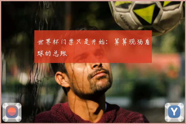 世界杯门票只是开始：算算现场看球的总账