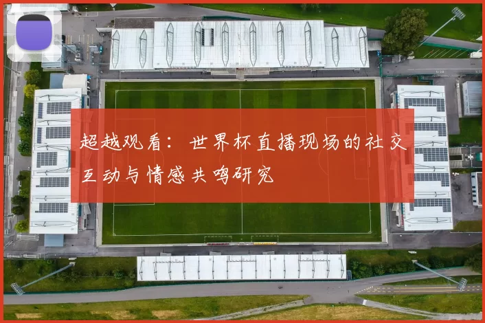超越观看:世界杯直播现场的社交互动与情感共鸣研究
