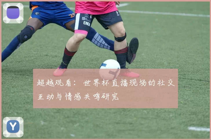 超越观看：世界杯直播现场的社交互动与情感共鸣研究