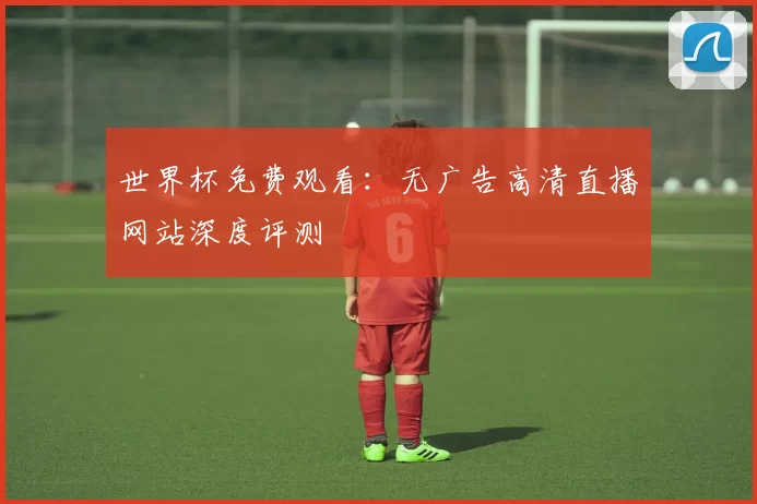 世界杯免费观看:无广告高清直播网站深度评测