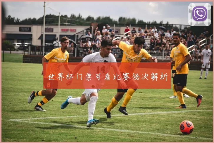 世界杯门票可看比赛场次解析